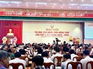 Thư viện Tỉnh triển lãm sách, xếp sách nghệ thuật phục vụ Đại hội t...