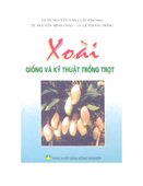 Xoài-Giống Và Kỹ Thuật Trồng Trọt