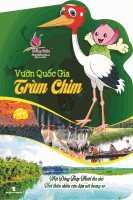 Vườn quốc gia Tràm Chim